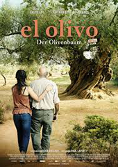 Hauptfoto El Olivo - Der Olivenbaum
